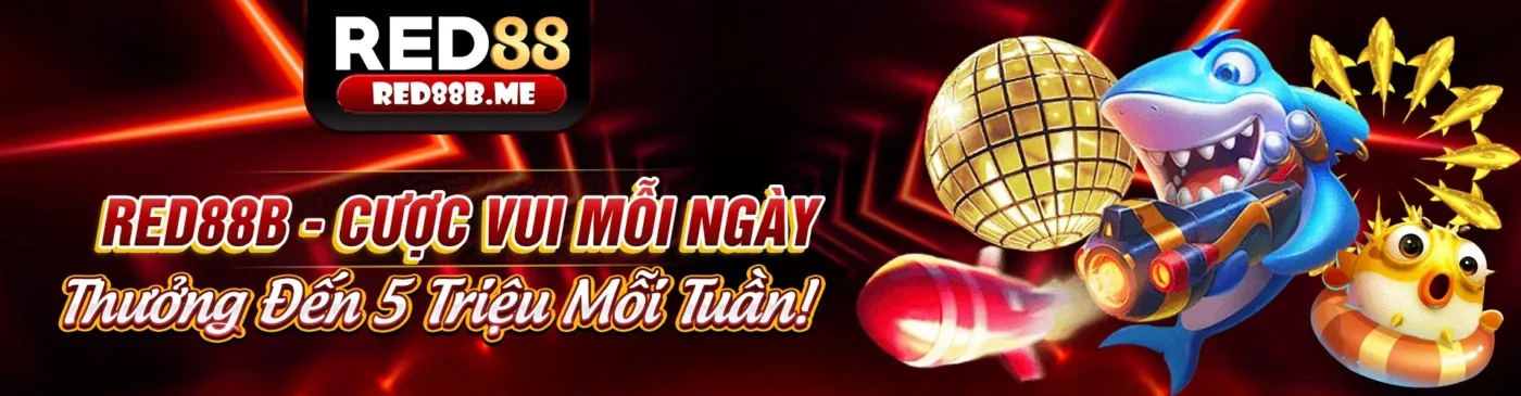Giao diện cá cược trực tiếp Cwin555